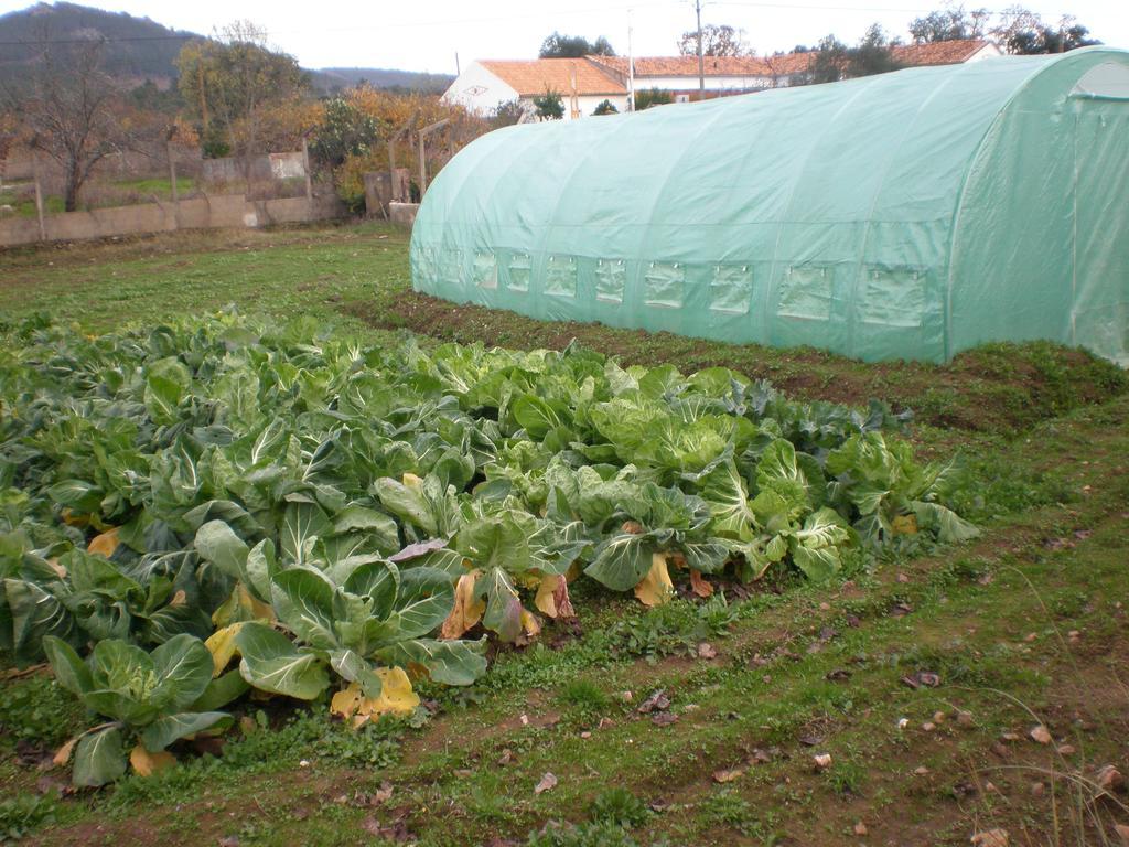 Quinta da Mina Villa Monsanto Esterno foto